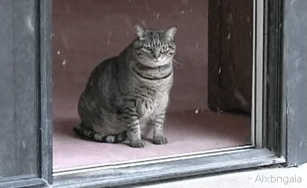 Custom Smile