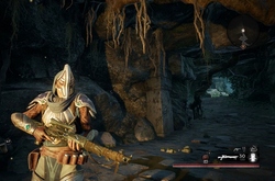 Remnant From The Ashes по сети