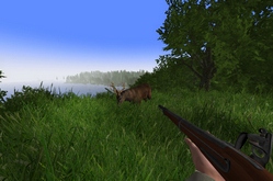 Rising World по сети