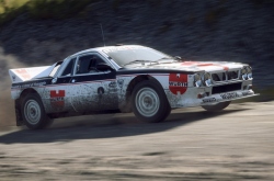 DiRT Rally 2.0 по сети
