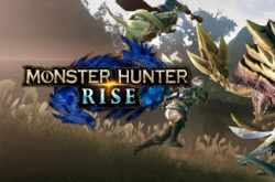MONSTER HUNTER RISE по сети