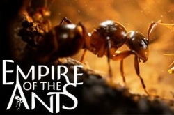 Empire of the Ants по сети