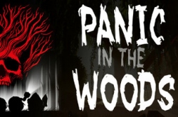 Panic In The Woods по сети