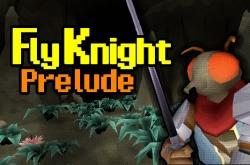FlyKnight по сети