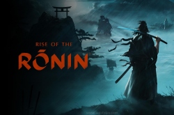 Rise of the Ronin по сети