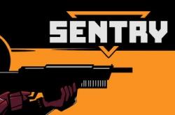 SENTRY по сети