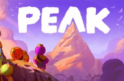 PEAK по сети