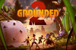 Grounded 2 по сети