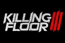 Killing Floor 3 по сети