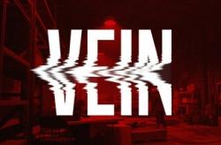 VEIN по сети