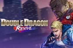 Double Dragon Revive по сети