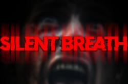 SILENT BREATH по сети