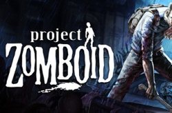 Project Zomboid по сети