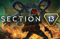 Section 13 по сети