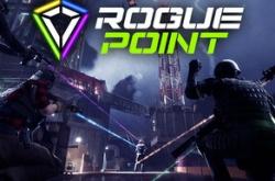 Rogue Point по сети