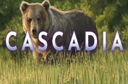 Cascadia по сети