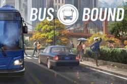 Bus Bound по сети
