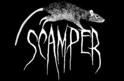 Scamper по сети
