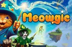 Meowgic по сети