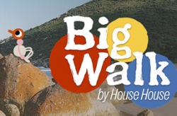Big Walk по сети